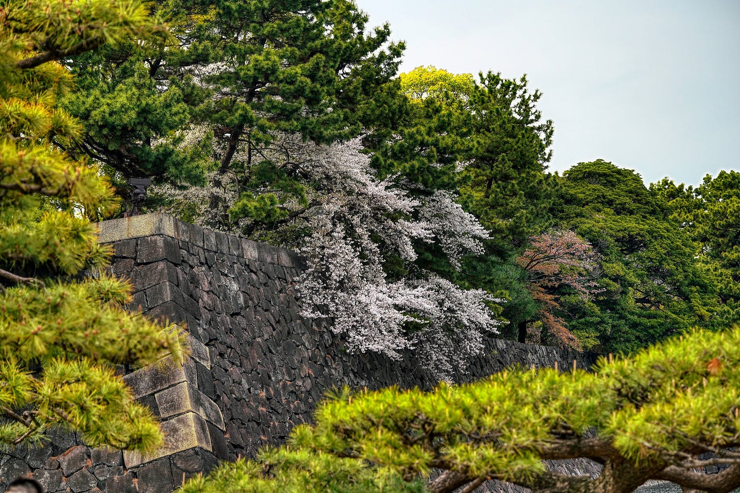 Tokyo, April 2025