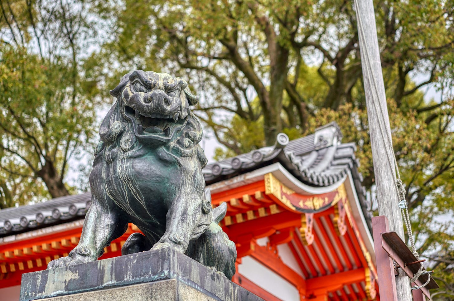 Kyoto, April 2025