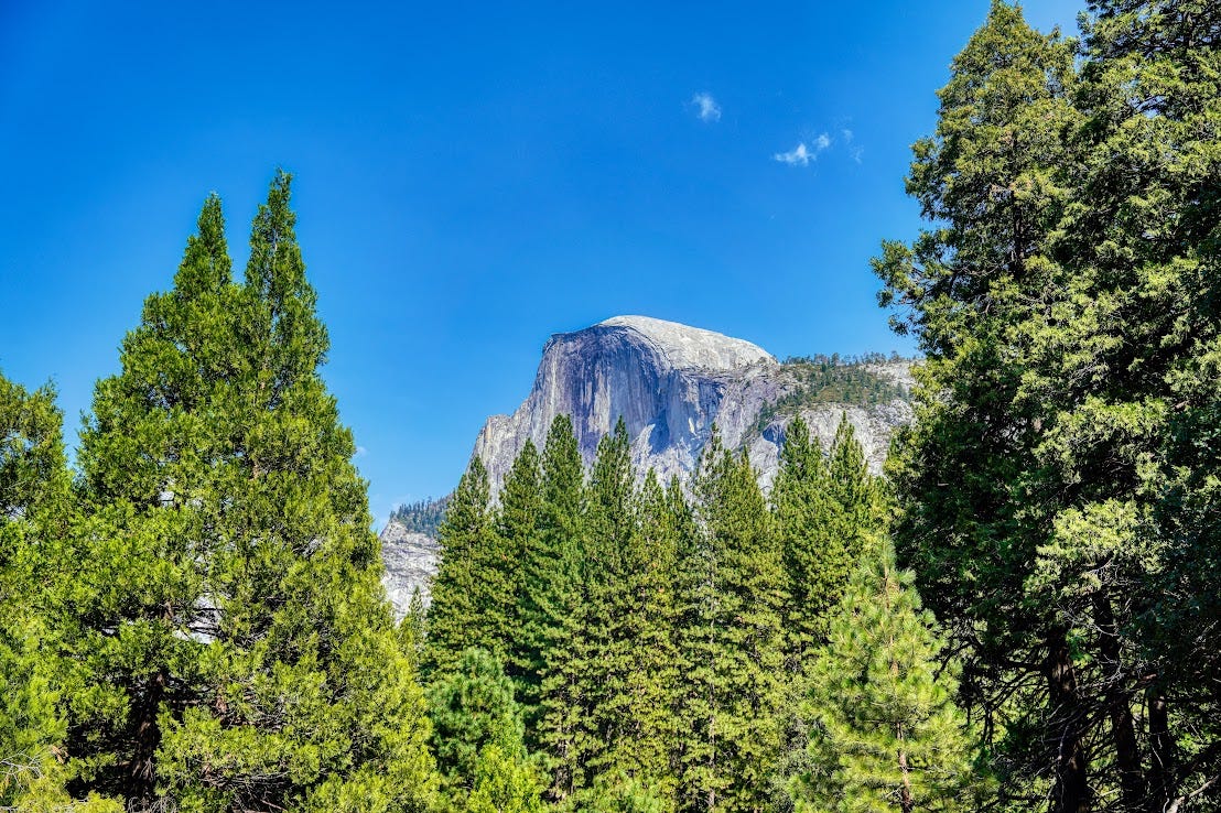 Yosemite, August 2025